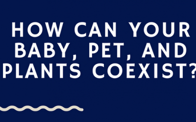 The Best Temperature To Set My Thermostat In The Summer