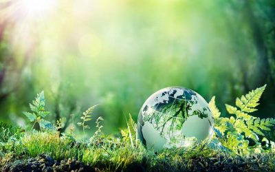 15 Ways to Reduce Your Carbon Footprint