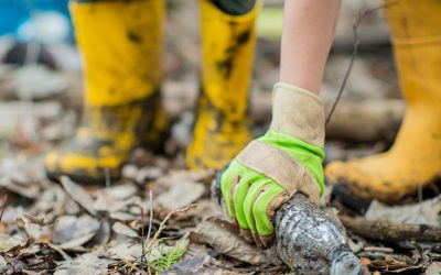 Plastic Pollution Facts and Solutions