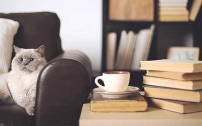 Indoor Air Pollution: Sources and Effects