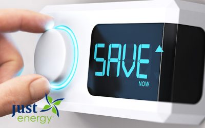 The Top 9 Environmentally Friendly Tips to Save the Planet