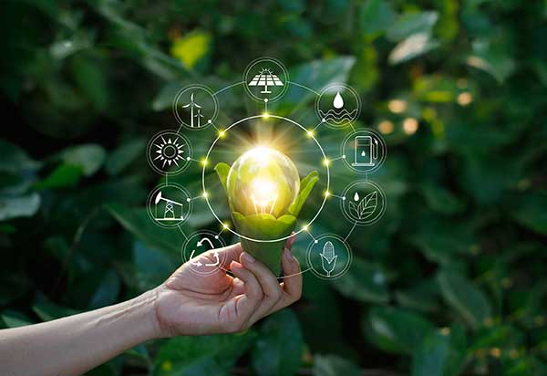 Green Efforts | New Innovative Solutions