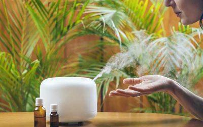 Humidifiers: Why We Need Them, How They Work, and Other FAQs