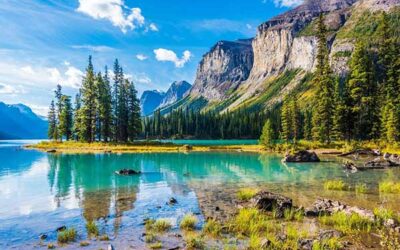 Moving to Alberta: Complete Guide for New Residents