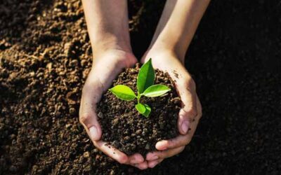 Earth Day: What It’s About and Why All of Us Should Care