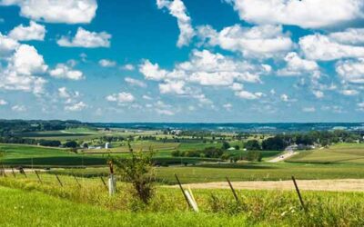 Moving to Illinois: All You Need to Know to Settle In