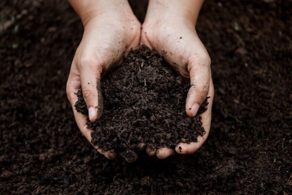 Decomposition Energy Found in Soil and Dirt