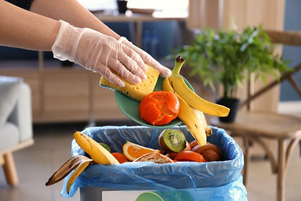 Food Into Energy Image of Food Waste in Recycle Bin