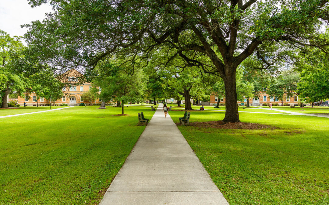Top 15 Green Colleges in the United States Ranked