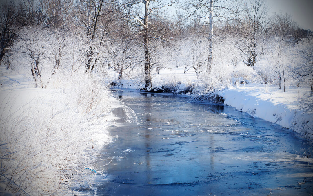 Illinois Winter: Snowy Bliss and Cozy Charm