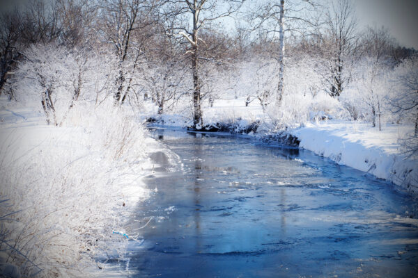 Illinois Winter: Snowy Bliss and Cozy Charm
