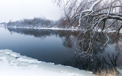 Winter in Maryland: Snowy Delights and Traditions