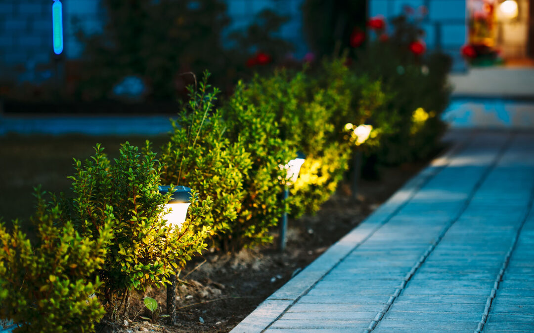 Solar Lights for the Garden: Illumination Without Emissions
