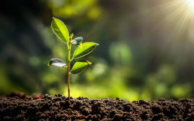 Biological Energy and Biological Energy Conversion: How It All Works