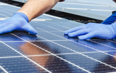 Do Solar Panels Save Money? A Complete Review