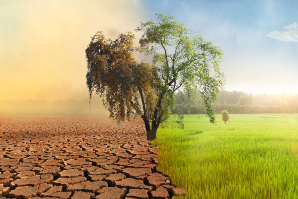 The Heat is On: Understanding Global Warming and Its Impact