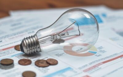 How to Read a Electricity Facts Label (EFL)