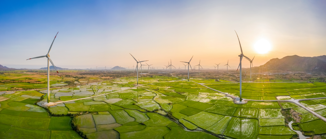 Go Green with Just Energy