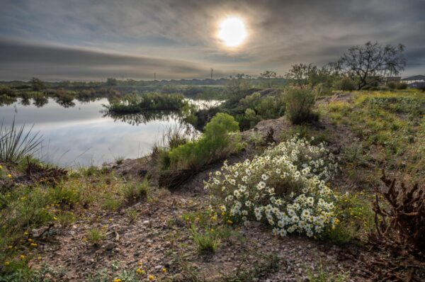 What Is Odessa, Texas Known For? Oil, Energy, Culture, and West Texas Life